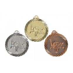 Médaille Judo - NX11